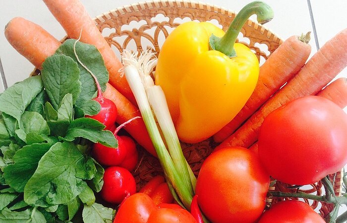 Gemüse-Lebensmittel-Tafel