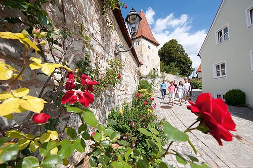 Stadtmauer von Greding