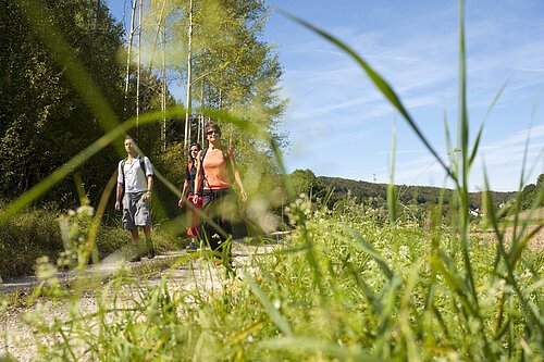 Wandern "Auf in die Natur!" heißt es auf den abwechslungsreichen Wanderwegen rund um die Stadt im Schwarzachtal.