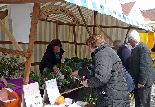 Marktstand mit Pflanzen und Kräutern, mehrere Personen kaufen und verkaufen unter einem gestreiften Zelt.