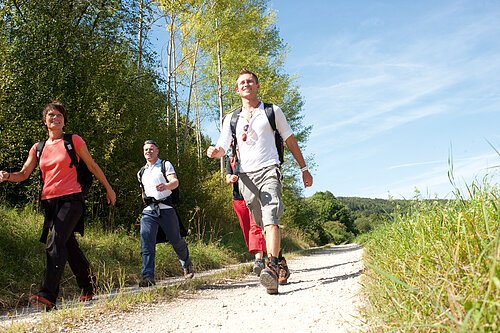 Vier Personen wandern auf einem sonnigen Waldweg mit Rucksäcken und Outdoor-Kleidung.